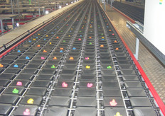 Enorme lengte van de machine