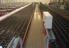 Overzicht van de 2x8 -sporige sorteermachine met rechts de grootkistenvullers