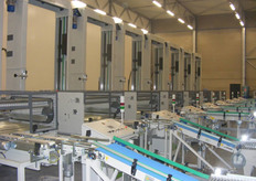 Pallettiseringsmachines van Freshpack