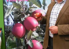 Jan van Ingen met zijn appelras Maribelle