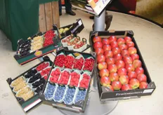 Uitstalling van Fruitmasters met vers fruit