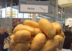 Jazzy is een nieuwe salade-aardappel met wel 30/40 knollan per plant