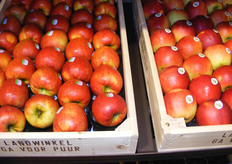 oude en nieuwe rassen