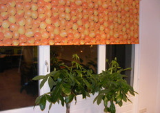 ook de zonwering is in stijl