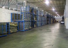 Containers met bananen klaar voor verwerking. Een stam weegt ongeveer 30-35 kilo.