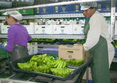 Dames pakken de bananen in. Bruine doos voor b, wit enz..