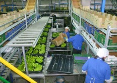 Bovenaanzicht op de inpak afdeling. Allemaal handwerk.