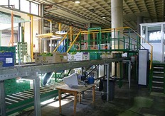 De dozen gaan op weg naar de palletissermachine.