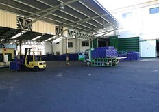 Van de bananen naar de tomaten. Aanvoer van telers.