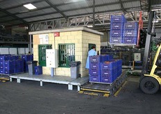 Iedere teler krijgt voor zijn kavel een uniek nr zodat niemand weet wie de aanvoerder is.