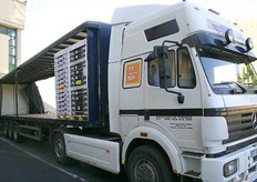 Vervoer naar de haven van Sante Cruz waar de tomaten naar West Europa worden verscheept. Meer info? Bel Allfru: 0180-646 999.