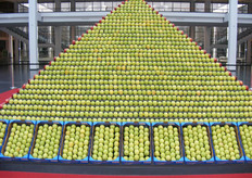 met verschillende rassen