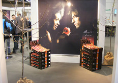 Kanzistand bij BayWa