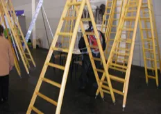 Ladders in vele uitvoeringen