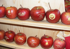 bijna alles is mogelijk