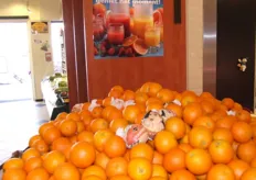 Genieten van de sinaasappelen