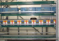 De dozen gaan in een lift richting pallatiseerder, die de paprika's dankzij de unieke code koppelt aan de juiste pallet