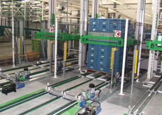 Binnen anderhalve minuut een pallet paprika's!