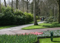 Op de wandelpaden al volop bezoekers van de Keukenhof