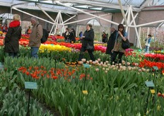 We genieten nog even van de bloemenzee en gaan huiswaarts