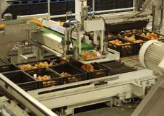 Robot die de kratten met sinaasappelen in net vult.