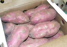 zoete aardappel