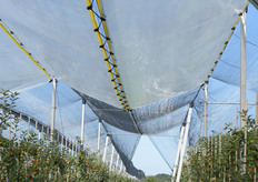 Er zijn demo netten en overkappingen in verschillende uitvoeringen