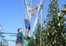 Begin van het vastnaaien van het net aan de draad