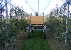 Pluc-o-track in de aanplant