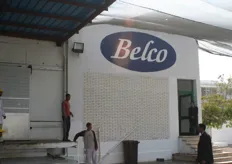 Het hoofdkantoor van Belco op de plantage in Zamalek.