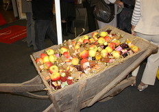 goed gevulde kruiwagen in de stand van Schulp