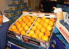 Kaki persimmon uit Spanje nu actueel bij Bakker en Leenheer