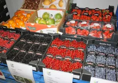 In het fruitassortiment van de importeur zijn de bessen, onder het merk BerryFresh, het grootst.