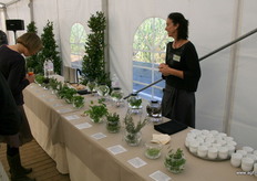 Ann Vansteenkiste weet alles van kruiden qua smaak en therapieÃ«n.