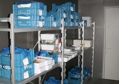 Het geplukte resultaat