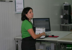 Kruiden worden met een capaciteit van 100 schalen per uur ingepakt