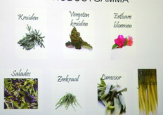 Een overzicht van het leveringsgamma