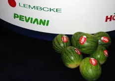 Mini watermelon Solinda by Peviani
