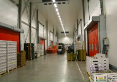 Corridor tussen afdeling binnenkomst en verlading met aan weerszijde de koelcellen. Iedere cel heeft zijn eigen temperatuur.
