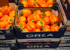 Israelische paprika's