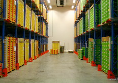 De kiwicel vol met Zespri