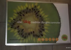 Poster van kiwi's