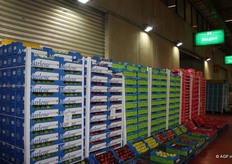 heel veel appelrassen bij Ringoot Fruit