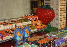 Een grote aardbei bij Guido Fruit