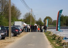 De opening van het Belgische asperge-seizoen vond plaats in Kinrooi