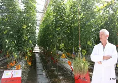 Ab van Marrewijk vertelt over de tomaten en verschillende beschermingsmiddelen