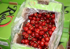 "Ruby kersen "Topkwaliteit kersen", aldus Francis van Overstraeten"