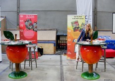 Stand van uitgeverij Boekhout en AGF.nl met collega Corline Boekhout