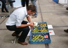 Jan Vernooij stalt peren uit