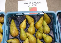 en dit kan er nog net mee door